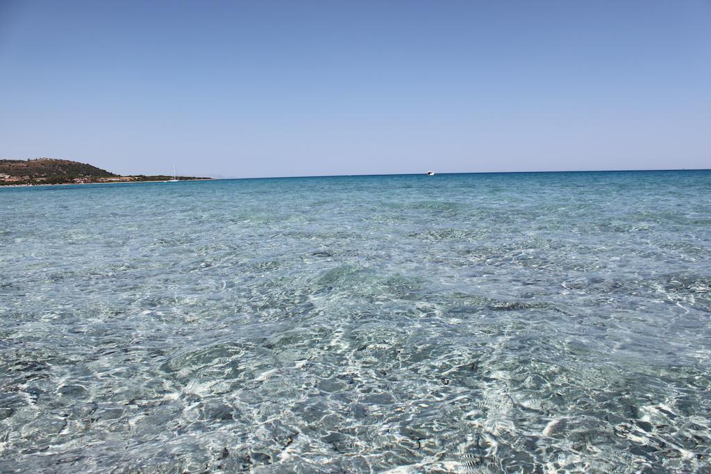 Agriturismo Piperedda 이르골리 외부 사진
