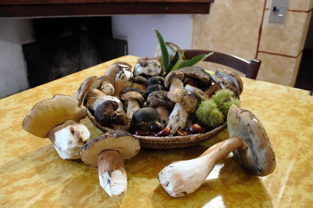 Agriturismo Piperedda 이르골리 외부 사진